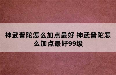 神武普陀怎么加点最好 神武普陀怎么加点最好99级